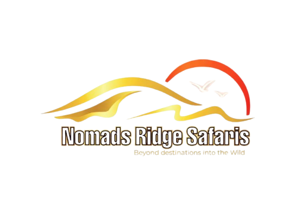 Nomads Ridge Safaris